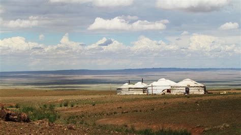 wild frontiers|wild frontiers mongolia.